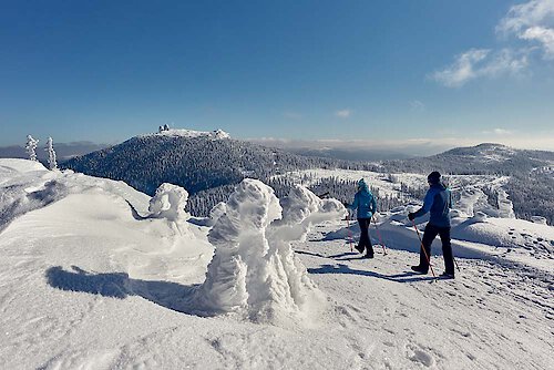 Winterwanderung Bayerischer Wald